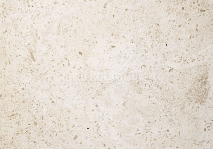 Cabeca Veada - grain moyen