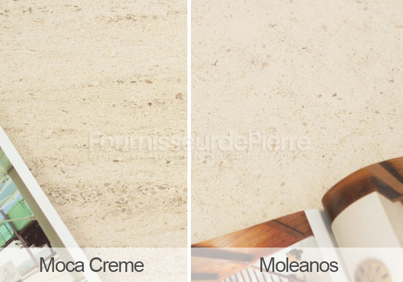 Moca Creme vs Moleanos